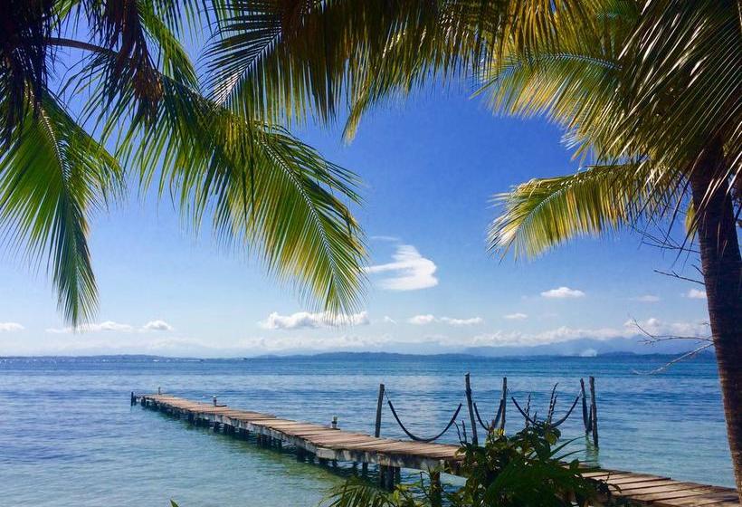 Hotel Doña Mara | Bocas del Toro | Bocas del Toro | Panamá 7