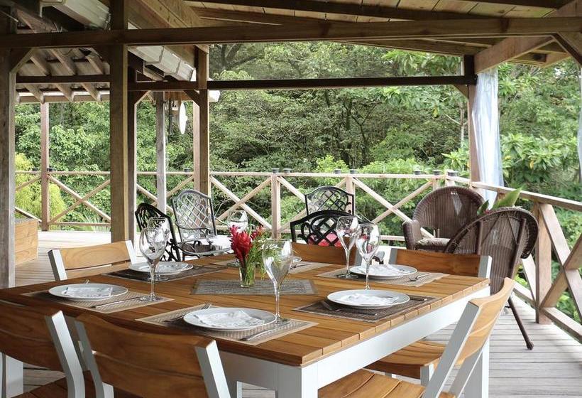 Bed and Breakfast Eden Jungle Lodge | Bocas del Toro | Bocas del Toro | Panamá 11