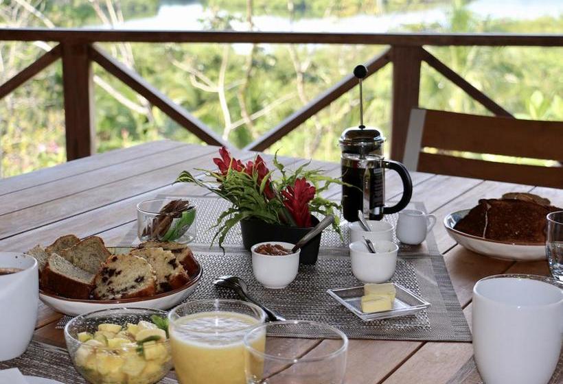 Bed and Breakfast Eden Jungle Lodge | Bocas del Toro | Bocas del Toro | Panamá 12