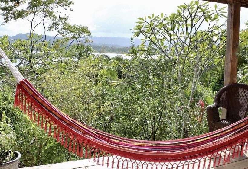 Bed and Breakfast Eden Jungle Lodge | Bocas del Toro | Bocas del Toro | Panamá 15