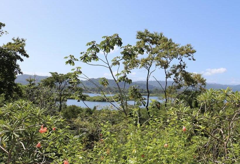 Bed and Breakfast Eden Jungle Lodge | Bocas del Toro | Bocas del Toro | Panamá 3