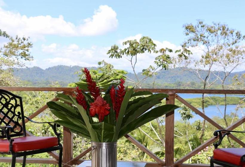 Bed and Breakfast Eden Jungle Lodge | Bocas del Toro | Bocas del Toro | Panamá 4