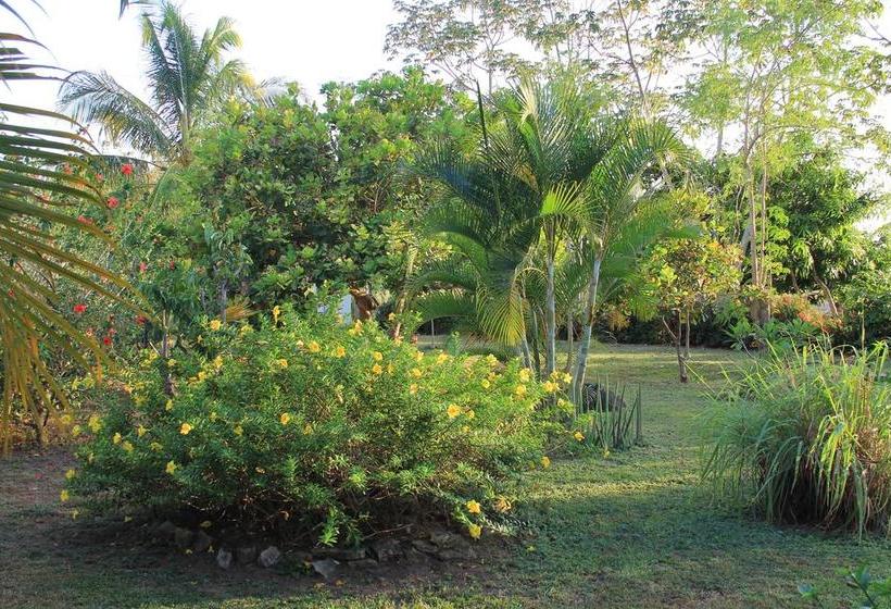 Hotel La Casa De Pucha | Pedasí | Los Santos | Panamá 12