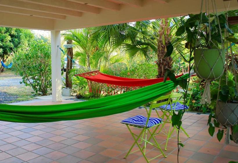 Hotel La Casa De Pucha | Pedasí | Los Santos | Panamá 13