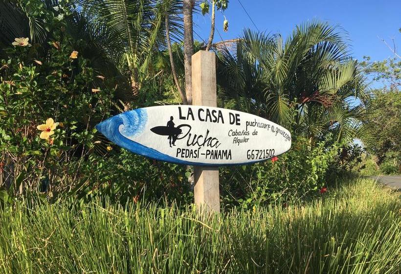 Hotel La Casa De Pucha | Pedasí | Los Santos | Panamá 15