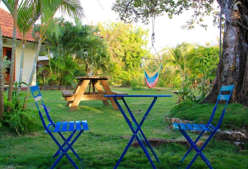 Hotel La Casa De Pucha | Pedasí | Los Santos | Panamá 9