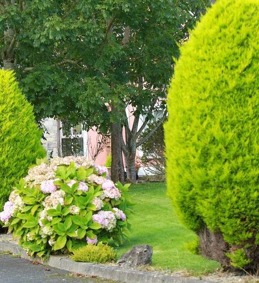 Parkhouse B&b | Bunratty | Clare | Ireland 5