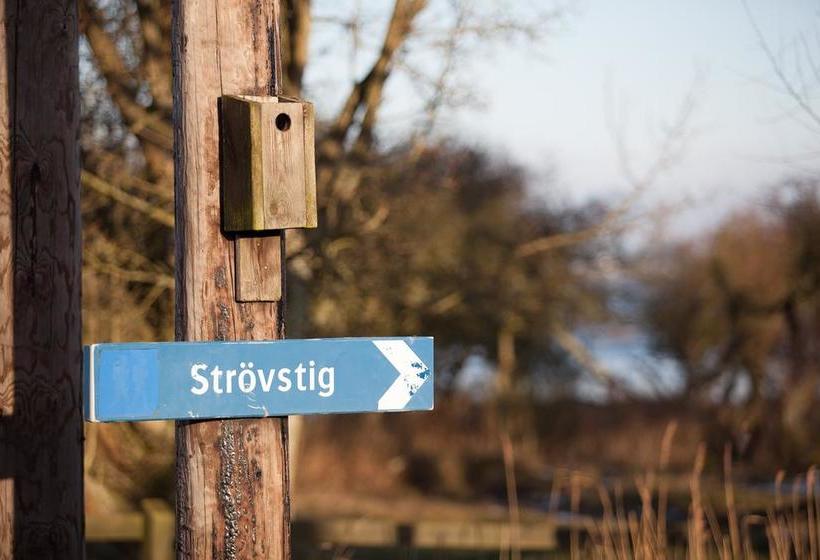 Haga Park Vandrarhem | Morbylanga | Kalmar Lan | Sweden 10