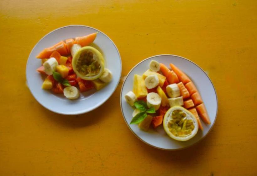 Bed and Breakfast La Santamaria Y El Diablo | Bocas del Toro | Bocas del Toro | Panamá 14