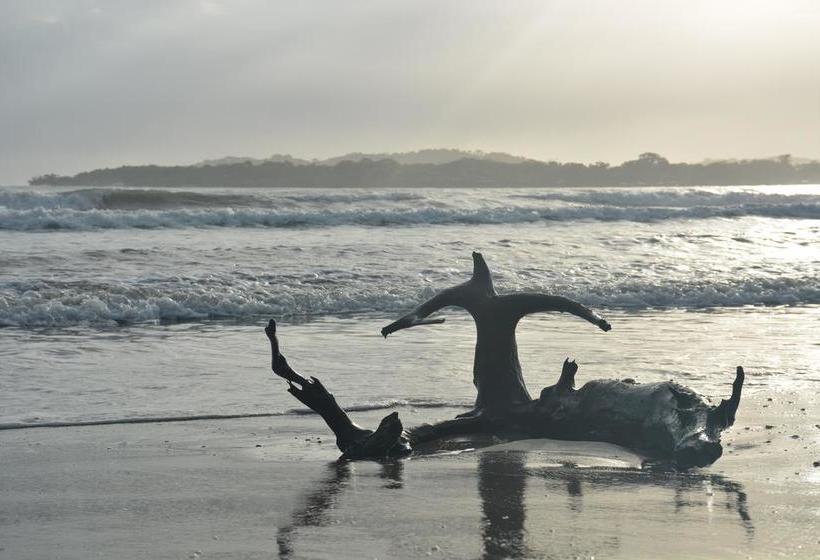 Bed and Breakfast La Santamaria Y El Diablo | Bocas del Toro | Bocas del Toro | Panamá 16
