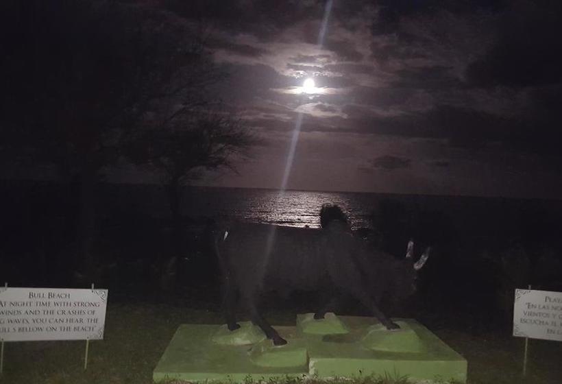 Albergue Pedasi Hostal Bull Beach | Pedasí | Los Santos | Panamá 16