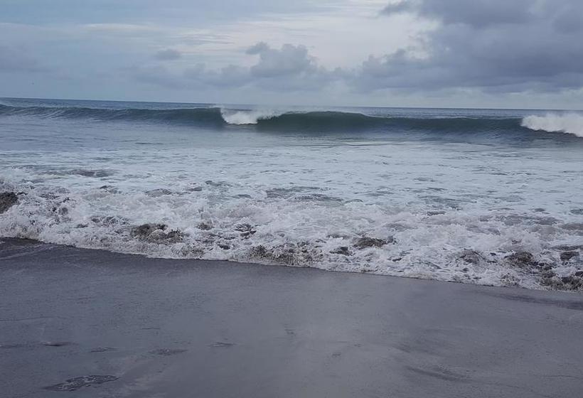 Albergue Pedasi Hostal Bull Beach | Pedasí | Los Santos | Panamá 8