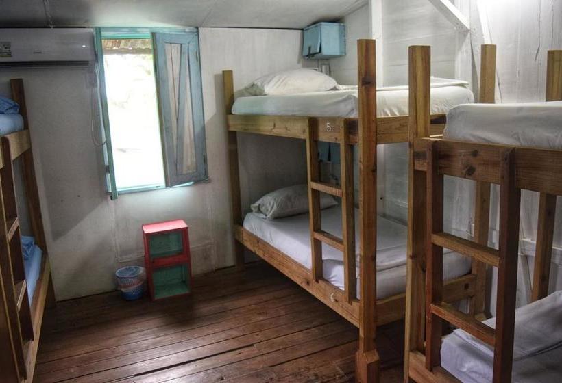 Twin Fin Hostels | Bocas del Toro | Bocas del Toro | Panamá 10