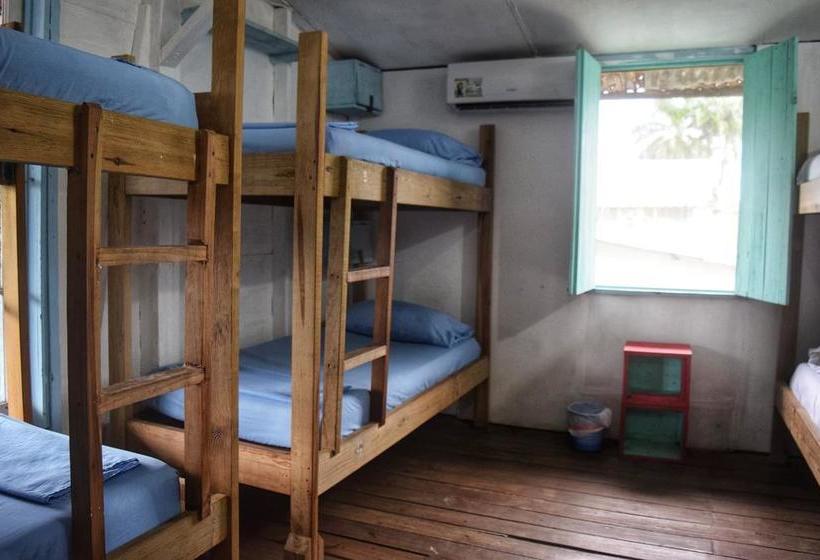 Twin Fin Hostels | Bocas del Toro | Bocas del Toro | Panamá 11