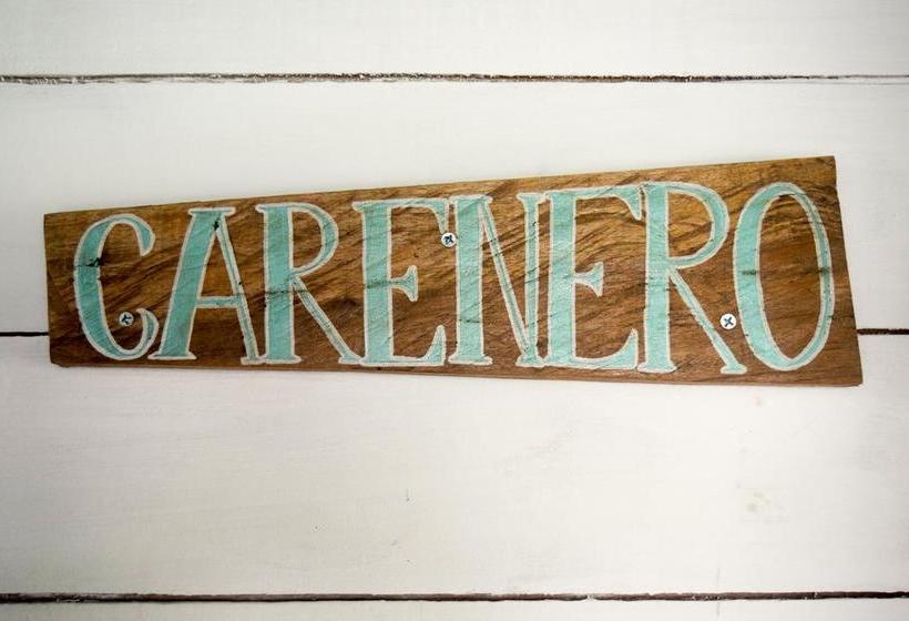 Twin Fin Hostels | Bocas del Toro | Bocas del Toro | Panamá 13