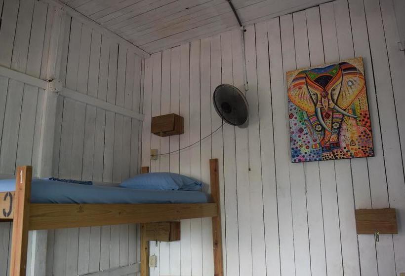 Twin Fin Hostels | Bocas del Toro | Bocas del Toro | Panamá 15