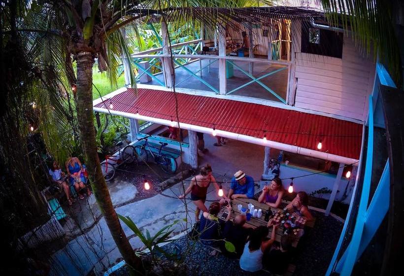 Twin Fin Hostels | Bocas del Toro | Bocas del Toro | Panamá 19