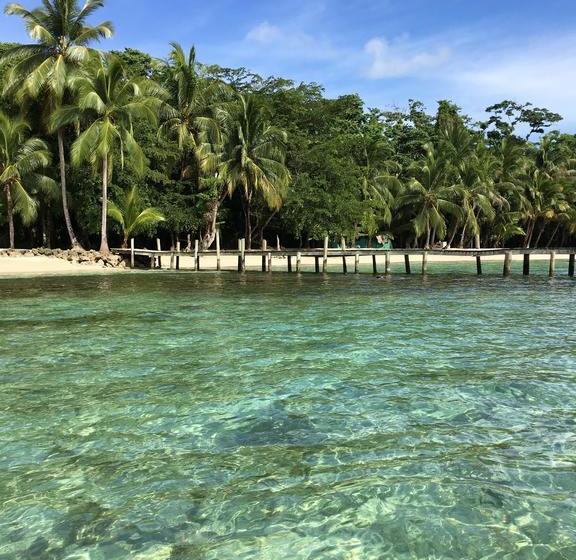 Twin Fin Hostels | Bocas del Toro | Bocas del Toro | Panamá 2