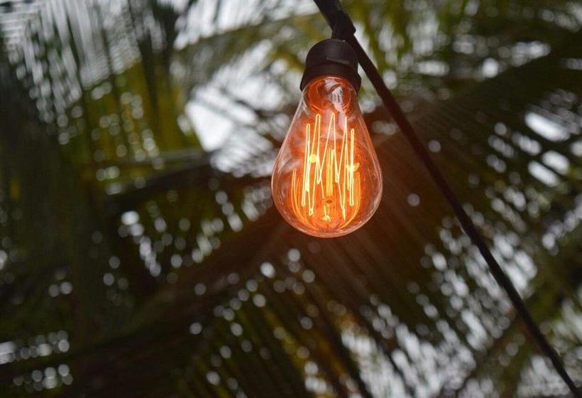 Twin Fin Hostels | Bocas del Toro | Bocas del Toro | Panamá 5