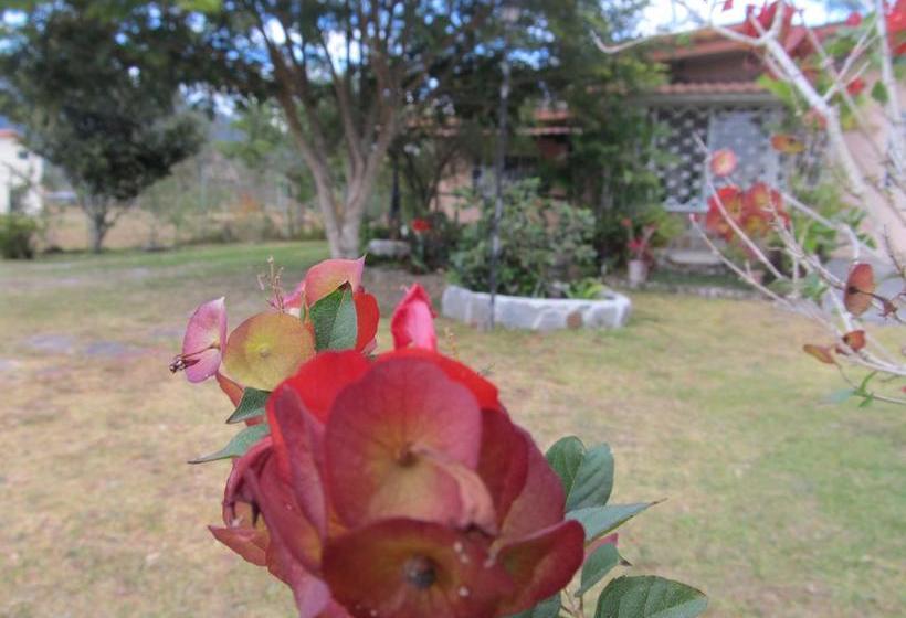 Albergue Casa Mirandita | Volcán | Chiriquí | Panamá 20
