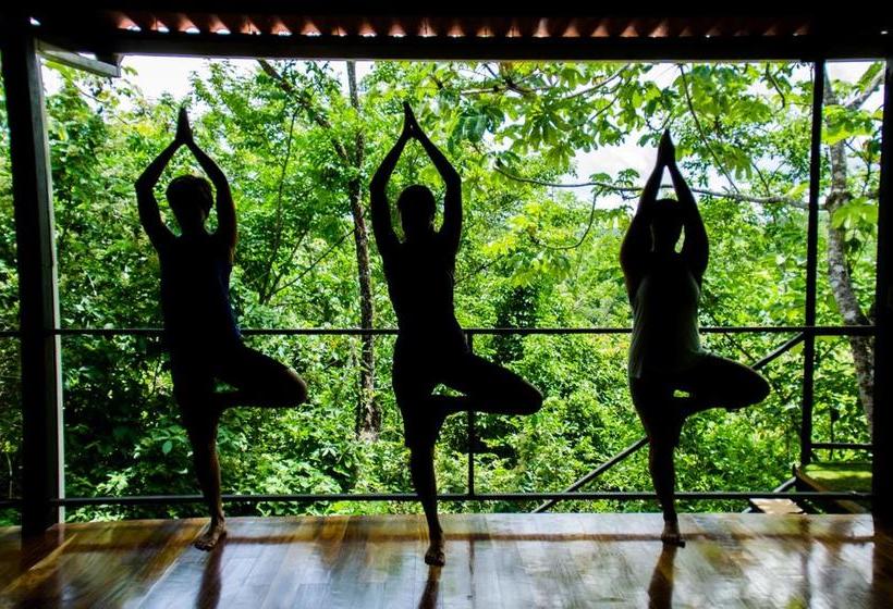 Hotel La Buena Vida | Santa Catalina | Veraguas | Panamá 13