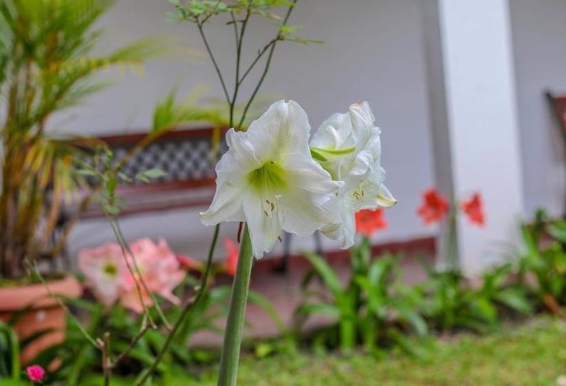 Hotel Rebequet | Boquete | Chiriquí | Panamá 5