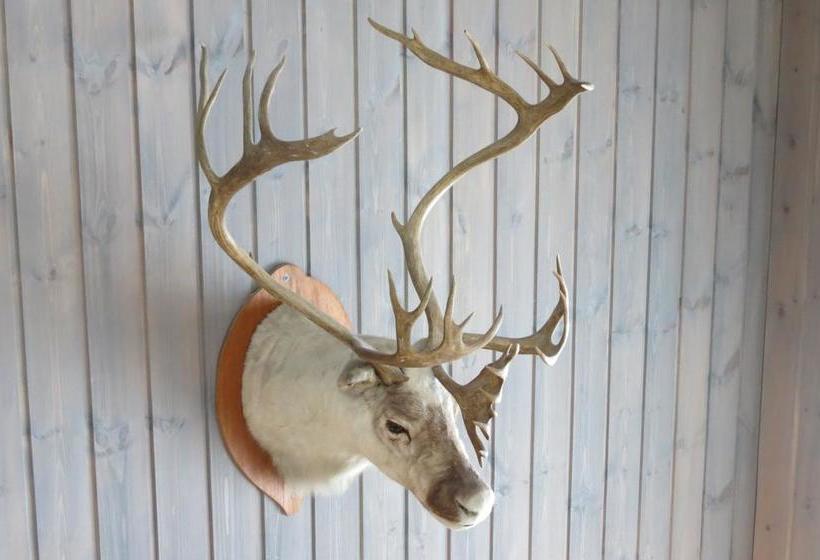 Skinnarbu Nasjonalparkhotell | Rjukan | Telemark | Norway 3