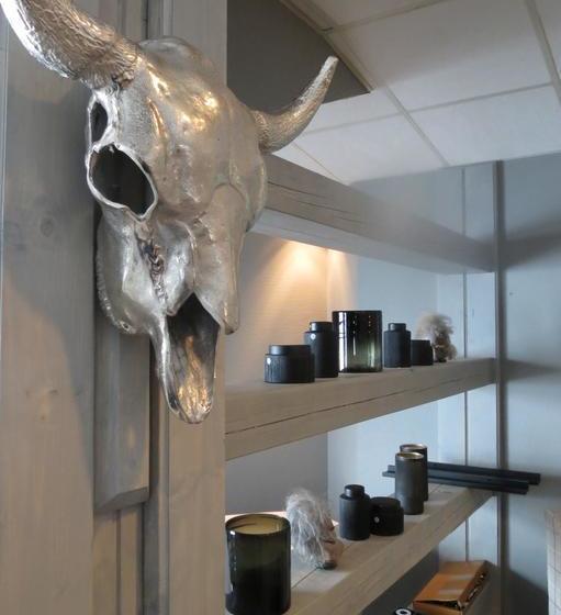 Skinnarbu Nasjonalparkhotell | Rjukan | Telemark | Norway 8