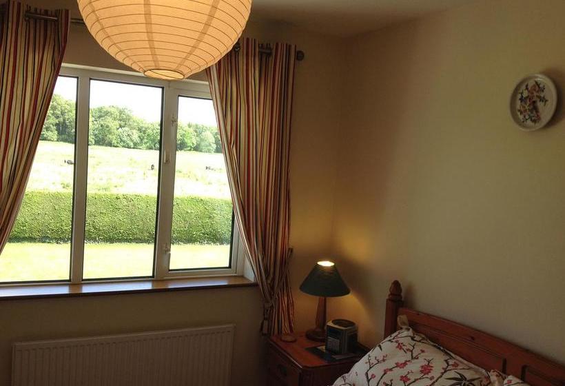 Bed and Breakfast Willow Wood House | Tullamore | Offaly | Ireland 9
