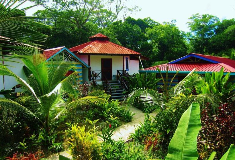 Casa Abundancyah B&b | Bocas del Toro | Bocas del Toro | Panamá 1