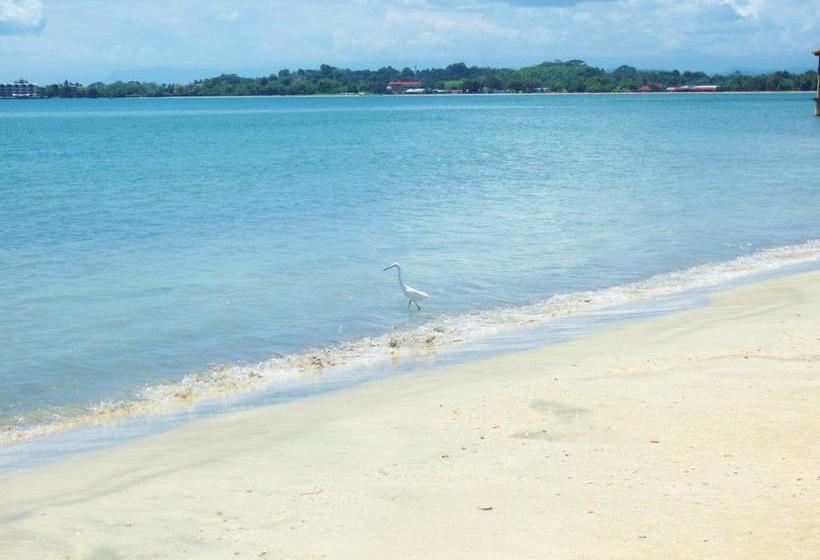 Casa Abundancyah B&b | Bocas del Toro | Bocas del Toro | Panamá 3