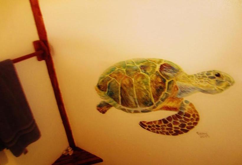 Casa Abundancyah B&b | Bocas del Toro | Bocas del Toro | Panamá 5