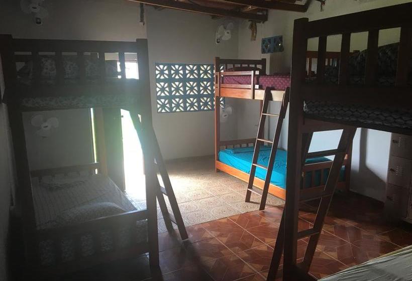 Albergue Johnny Fiestas | Las Lajas | Chiriquí | Panamá 8