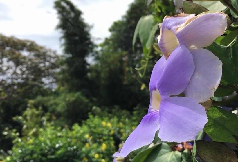 Hotel Anachoreo | Santa Fe | Veraguas | Panamá 4
