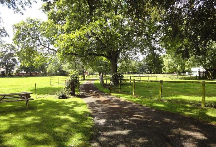 Bed and Breakfast Glendine House Kilkenny | Kilkenny | Kilkenny | Ireland 12