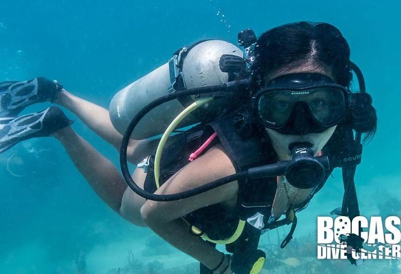 Hotel Divers Paradise Boutique | Bocas del Toro | Bocas del Toro | Panamá 14