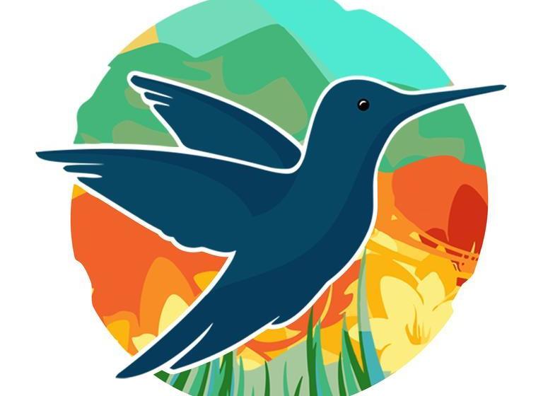 Hotel Divers Paradise Boutique | Bocas del Toro | Bocas del Toro | Panamá 17