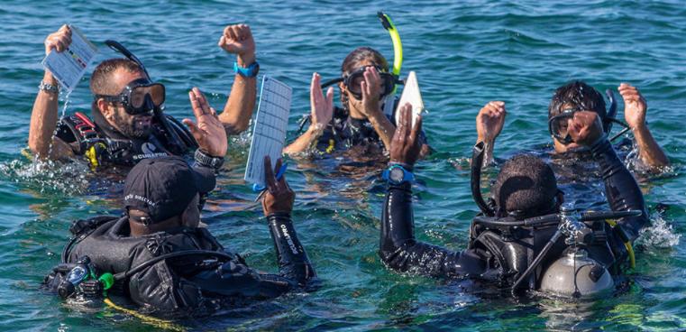 Hotel Divers Paradise Boutique | Bocas del Toro | Bocas del Toro | Panamá 20