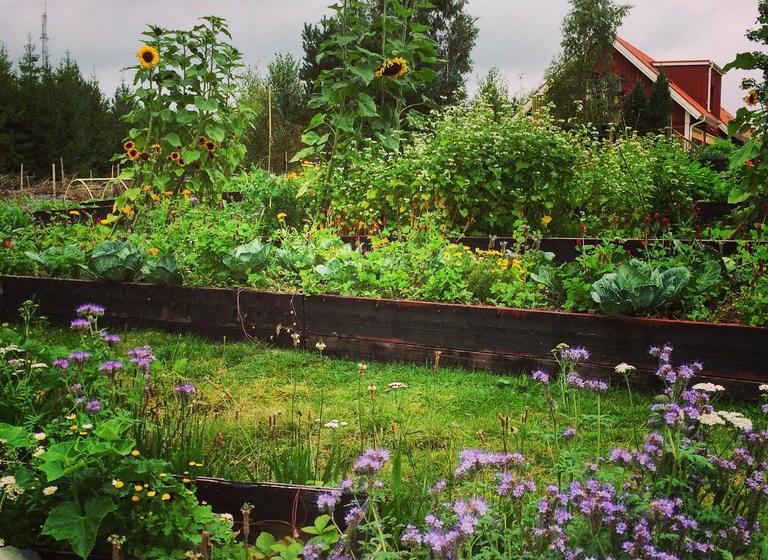 Bed and Breakfast Escape To Paulssonpaleo | Simlangsdalen | Hallands Lan | Sweden 10