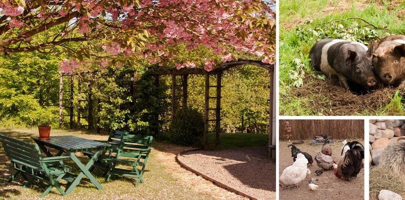 Bed and Breakfast Escape To Paulssonpaleo | Simlangsdalen | Hallands Lan | Sweden 5