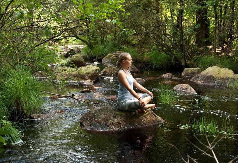 Bed and Breakfast Escape To Paulssonpaleo | Simlangsdalen | Hallands Lan | Sweden 7