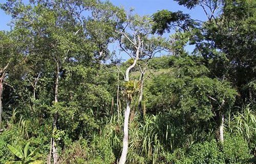 Pensão Bali Suites Itamambuca  | Ubatuba | São Paulo | Brasil 8