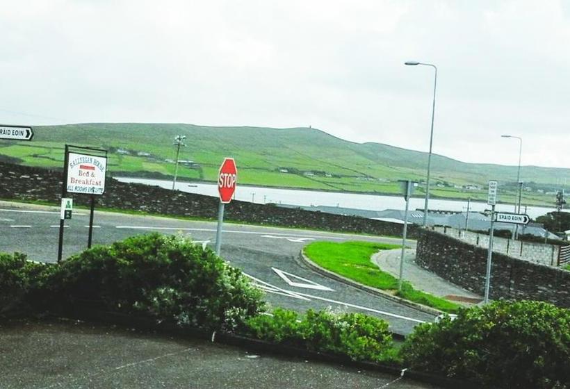 Bed and Breakfast Ballyegan House | Dingle | Kerry | Ireland 11