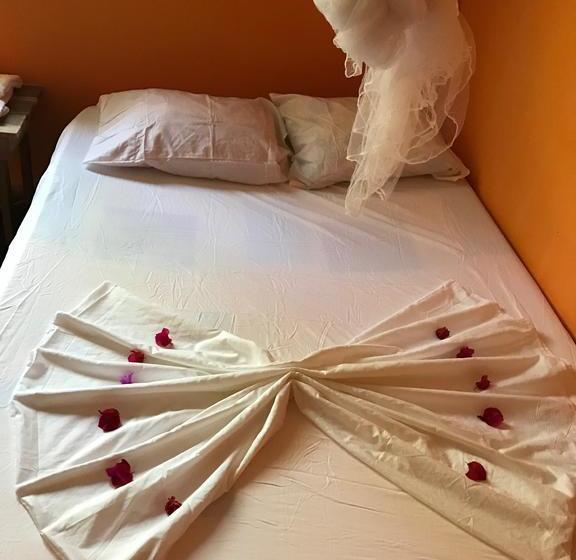 Bed and Breakfast El Mango Guesthouse | Bocas del Toro | Bocas del Toro | Panamá 11