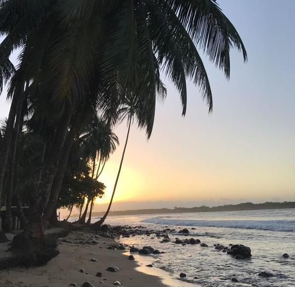 Bed and Breakfast El Mango Guesthouse | Bocas del Toro | Bocas del Toro | Panamá 12