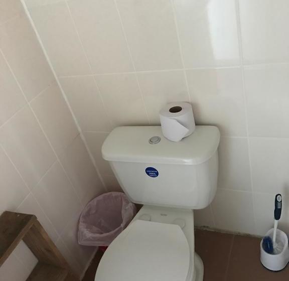 Bed and Breakfast El Mango Guesthouse | Bocas del Toro | Bocas del Toro | Panamá 13