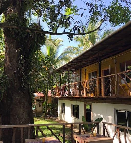 Bed and Breakfast El Mango Guesthouse | Bocas del Toro | Bocas del Toro | Panamá 19