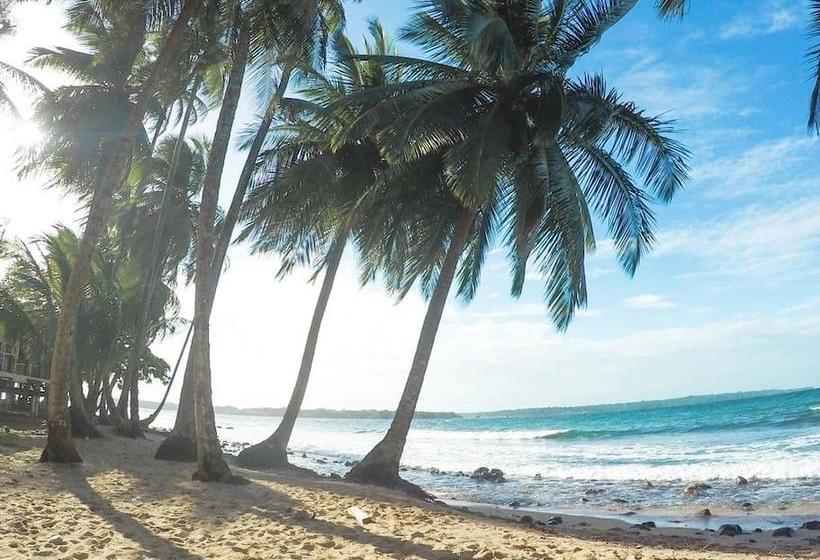 Bed and Breakfast El Mango Guesthouse | Bocas del Toro | Bocas del Toro | Panamá 2