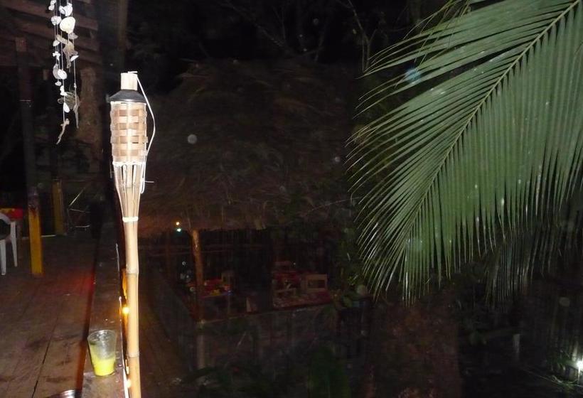 Bed and Breakfast El Mango Guesthouse | Bocas del Toro | Bocas del Toro | Panamá 7