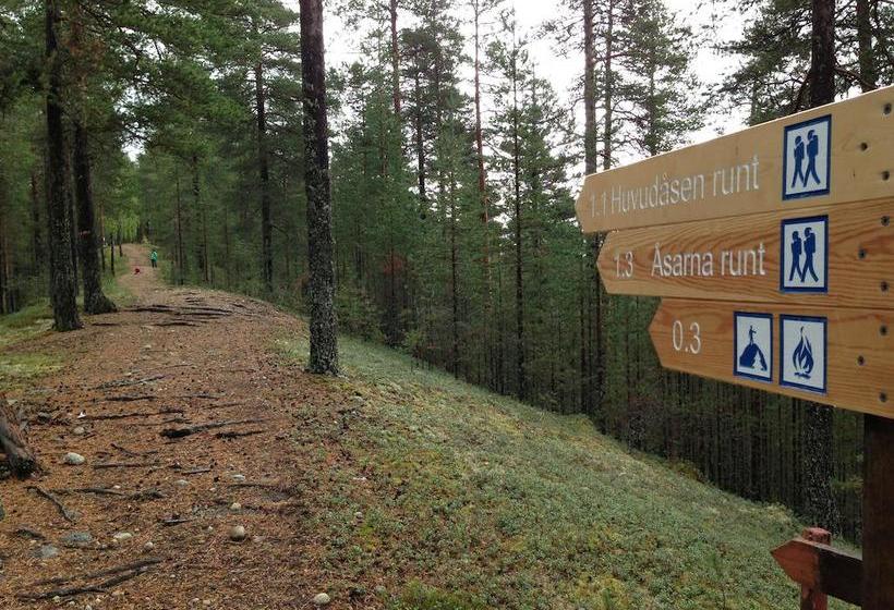 Hotel Vindelngallerian | Vindeln | Vasterbottens Lan | Sweden 18